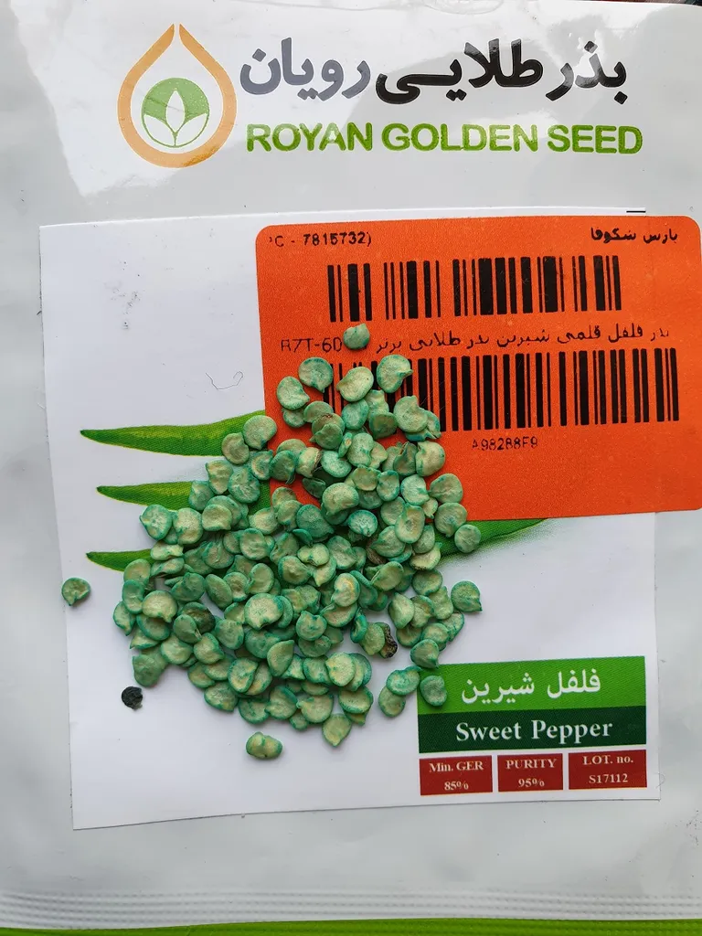 بذر فلفل قلمی شیرین بذر طلایی برتر کد BZT-60