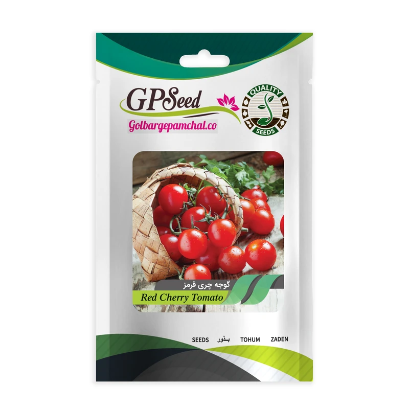 بذر گوجه گیلاسی