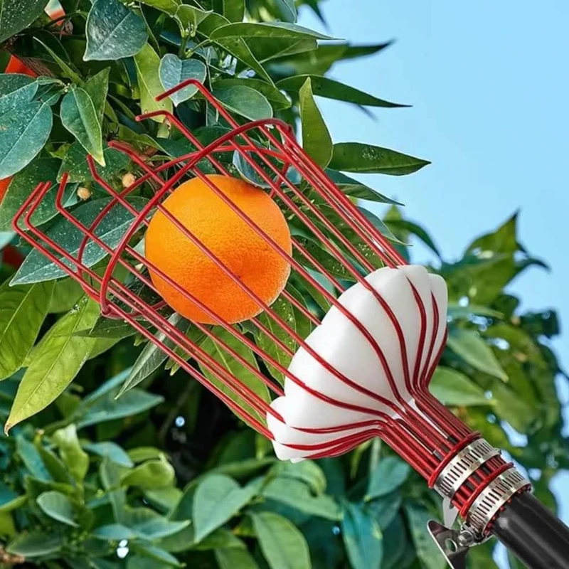 میوه چین مدل سبدی فلزی